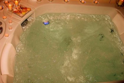 hotel *** - Hotel Halny *** - zdjęcie 8