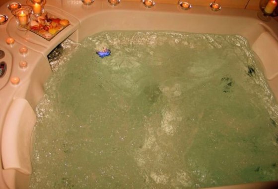 hotel *** - Hotel Halny *** - Usługi - zdjęcie 2