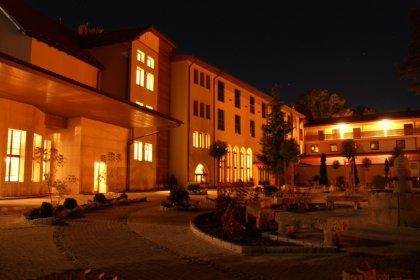 hotel **** - Hotel**** Medical Spa Malinowy Dwór - zdjęcie 8