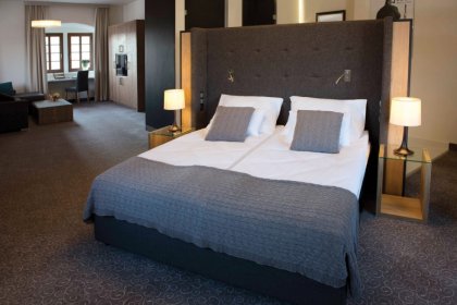 hotel **** - Uroczysko Siedmiu Stawów Luxury Hotel & SPA - zdjęcie 6