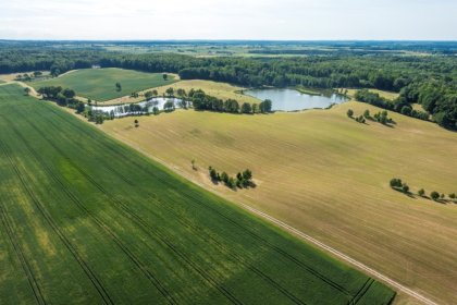 pałac - Pałac i Folwark Galiny - zdjęcie 2