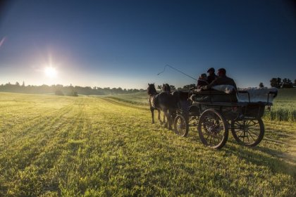pałac - Pałac i Folwark Galiny - zdjęcie 7