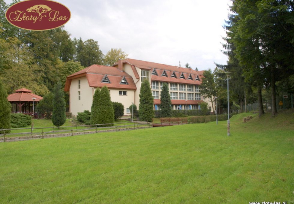 hotel *** - Restauracja & Hotel  Złoty Las