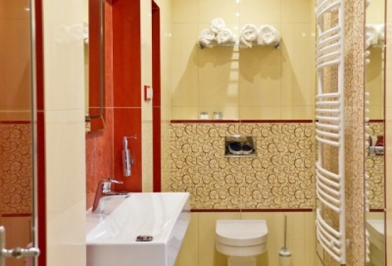 hotel - Hotel Brochów - Pokoje - zdjęcie 5