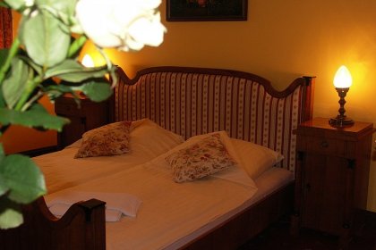 hotel *** - Hotel Pod Różami - zdjęcie 10