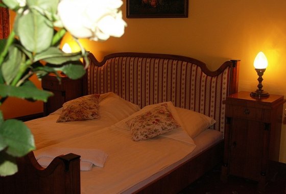 hotel *** - Hotel Pod Różami - Pokoje - zdjęcie 3