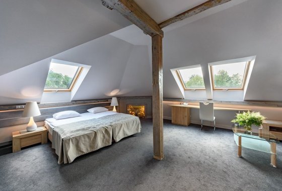 pałac - Pałac Brzeźno SPA & Golf - Pokoje - zdjęcie 3