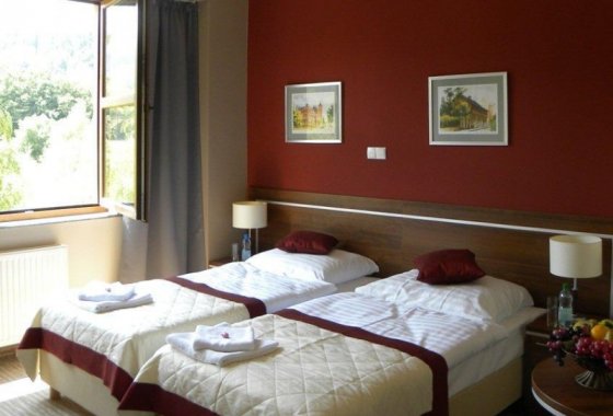 hotel - Hotel Dębowiec ** - Pokoje - zdjęcie 1