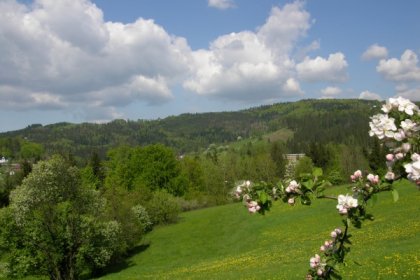 hotel *** - Hotel Pod Jedlami - zdjęcie 3