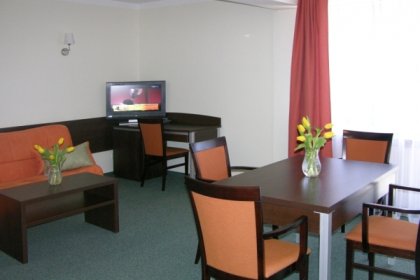 hotel *** - Hotel Pod Jedlami - zdjęcie 6
