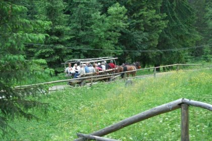 hotel *** - Hotel Pod Jedlami - zdjęcie 13