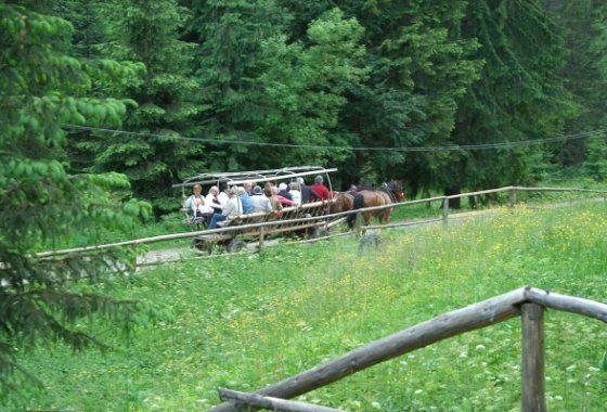 hotel *** - Hotel Pod Jedlami - Usługi - zdjęcie 6