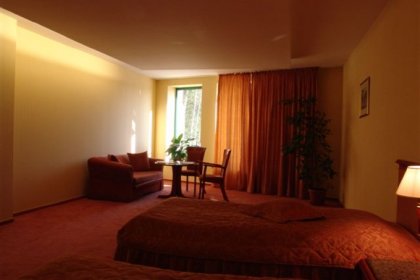 hotel **** - Hotel Amadeus Wodzisław Śląski - zdjęcie 10