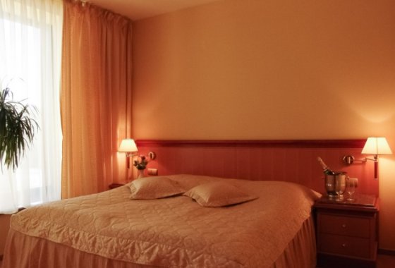 hotel **** - Hotel Amadeus Wodzisław Śląski - Pokoje - zdjęcie 2