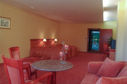 hotel **** - Hotel Amadeus Wodzisław Śląski - zdjęcie 6