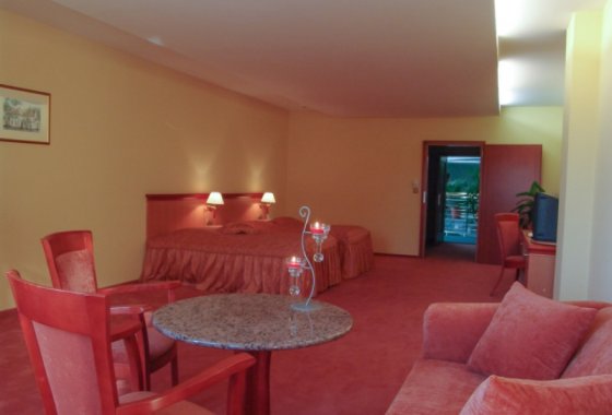 hotel **** - Hotel Amadeus Wodzisław Śląski - Pokoje - zdjęcie 5