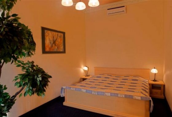 hotel *** - Hotel  Gliwice - Pokoje - zdjęcie 8