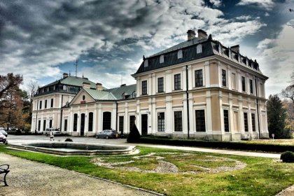 obiekt konferencyjny - Pałac Sieniawa - zdjęcie 4