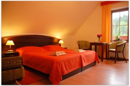 hotel *** - Pensjonat Rudy *** - zdjęcie 7