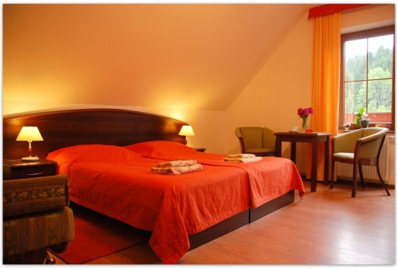 hotel *** - Pensjonat Rudy *** - Pokoje - zdjęcie 4