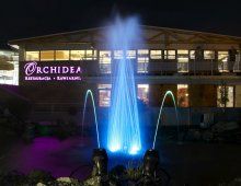 Restauracja Orchidea