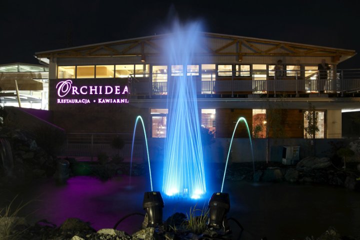 Restauracja Orchidea