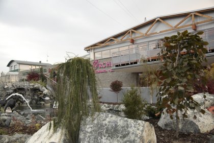 inny - Restauracja Orchidea - zdjęcie 1