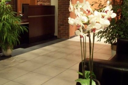 hotel *** - Hotel Liburnia - zdjęcie 1