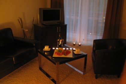 hotel - Villa Tarsis - zdjęcie 6