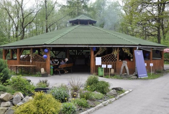 hotel *** - Centrum Konferencyjno - Wypoczynkowe Dębina - Usługi - zdjęcie 1