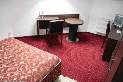 hotel *** - Hotel - Restauracja "Allegri" - zdjęcie 9