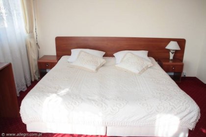 hotel *** - Hotel - Restauracja "Allegri" - zdjęcie 10