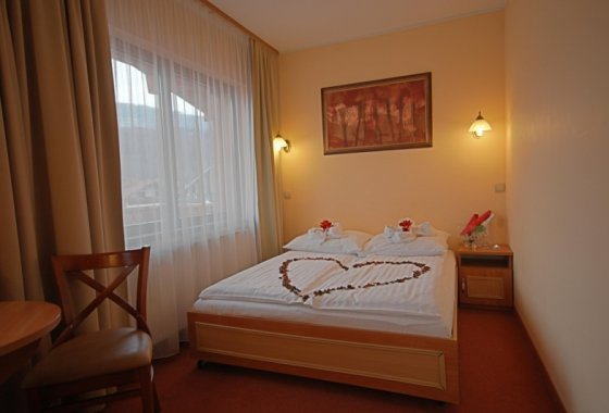 hotel *** - Hotel Góral Spa & Wellness - Pokoje - zdjęcie 1
