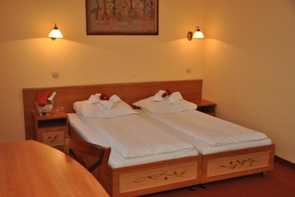 hotel *** - Hotel Góral Spa & Wellness - zdjęcie 12