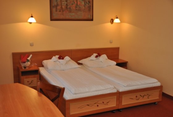 hotel *** - Hotel Góral Spa & Wellness - Pokoje - zdjęcie 2