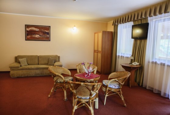 hotel *** - Hotel Góral Spa & Wellness - Pokoje - zdjęcie 3