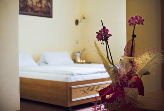 hotel *** - Hotel Góral Spa & Wellness - Pokoje - zdjęcie 5