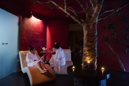 hotel *** - Hotel Góral Spa & Wellness - zdjęcie 18