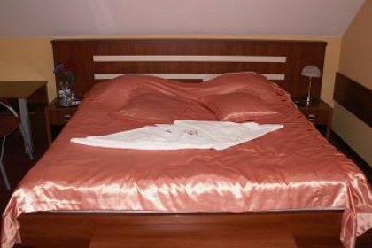 hotel - Villa Jelenica - zdjęcie 6