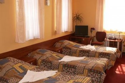 hotel - Villa Jelenica - zdjęcie 5