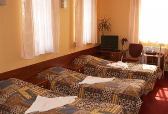 hotel - Villa Jelenica - Pokoje - zdjęcie 6