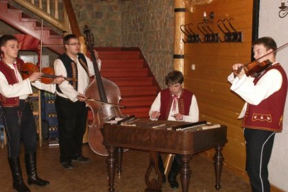 hotel - Villa Jelenica - zdjęcie 15