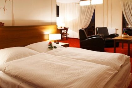 hotel *** - Hotel i Restauracja Timberland - zdjęcie 9