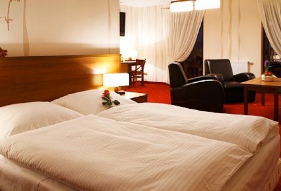 hotel *** - Hotel i Restauracja Timberland - Pokoje - zdjęcie 1