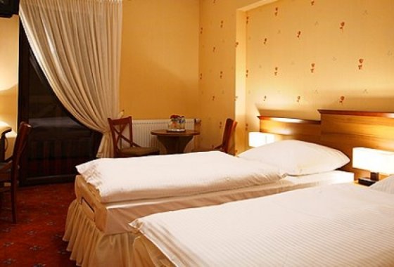hotel *** - Hotel i Restauracja Timberland - Pokoje - zdjęcie 4