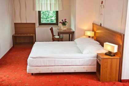 hotel *** - Hotel i Restauracja Timberland - zdjęcie 10