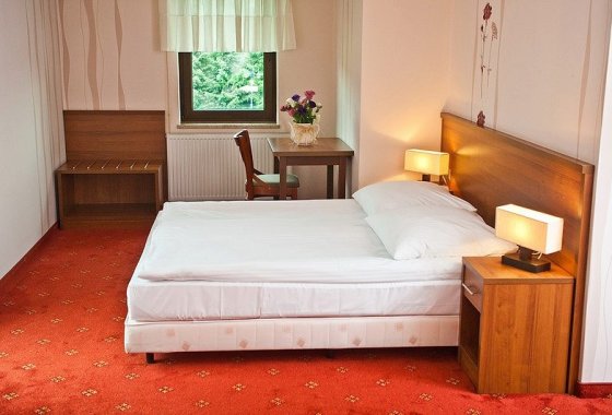 hotel *** - Hotel i Restauracja Timberland - Pokoje - zdjęcie 6