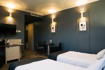 hotel **** - Hotel Natura Residence Business & SPA - zdjęcie 9