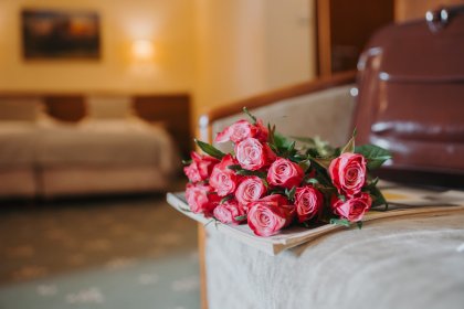 hotel *** - Restauracja i Hotel*** Rycerski - zdjęcie 24