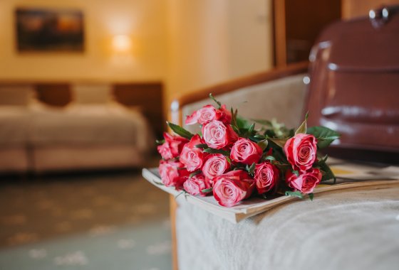 hotel *** - Restauracja i Hotel*** Rycerski - Pokoje - zdjęcie 7